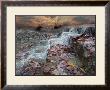 Creekside Innocence by Lucas Goldfinger Limited Edition Print