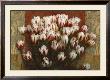 Tulip Dream by Mauricio Higuera Limited Edition Pricing Art Print