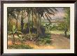 Barbados by Cheryl Kessler-Romano Limited Edition Print