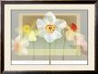 Daffodil Suite by Robert Mertens Limited Edition Print