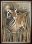 African Evening I by Karen Dupre Limited Edition Pricing Art Print