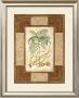 Safari Palm Ii by Susan Davies Limited Edition Pricing Art Print