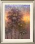 Palm Springs Series I by Jerry Sic Limited Edition Print