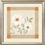 Magnolia Tile Ii by Muriel Verger Limited Edition Print