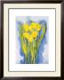 Yellow Tulips by Witka Kova Limited Edition Pricing Art Print