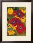 In Full Bloom I by Amadeo Freixas Limited Edition Print