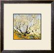 Silver Sky by Gustave Baumann Limited Edition Print