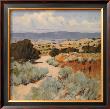 Desert Majesty by Irby Brown Limited Edition Print