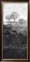 Black And White Scenery With Trees by Pierre Vermont Limited Edition Print
