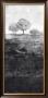 Black And White Scenery With Trees by Pierre Vermont Limited Edition Print