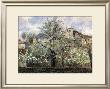 Spring Blossom by Camille Pissarro Limited Edition Pricing Art Print