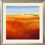 Red Fields I by Hans Paus Limited Edition Print