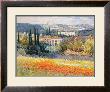 Sunlight On The Poppyfield by Frank Malva Limited Edition Print