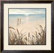 Sand Grasses by Paulo Romero Limited Edition Print