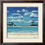 Caribbean Palms by Rick Novak Limited Edition Print