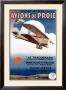 Aviation Air Show by Rene Peron Limited Edition Print
