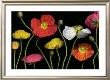 Poppy Garden Ii by Pip Bloomfield Limited Edition Print