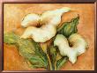 Calla Lilies by Ida Von Konarzewski Limited Edition Print