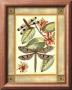 Dragonfly Essence I by Deborah Bookman Limited Edition Pricing Art Print