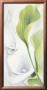 Calla Ii by Annette Schmucker Limited Edition Pricing Art Print