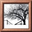 Snow Bound by Harold Silverman Limited Edition Print