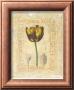 Tulipanes Bessa I by Javier Fuentes Limited Edition Pricing Art Print