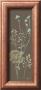 Chocolate Meadow Flower by Alan Johnstone Limited Edition Print