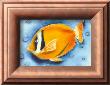 White Banded Island Fish by Dona Turner Limited Edition Pricing Art Print