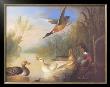 Waterfowl In A Landscape by Marmaduke Cradock Limited Edition Print