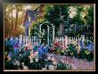 Arbor by Steven Songer Limited Edition Print