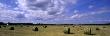 Hay Rolls In A Field, Sweden by Anders Ekholm Limited Edition Print