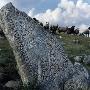 Sheep Behind A Rune Stone by Bosse Kinnas Limited Edition Print