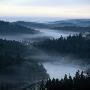 High Angle View Of Trees Along A River by Ove Eriksson Limited Edition Print