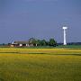 Wind Turbine In A Field by Ove Eriksson Limited Edition Pricing Art Print