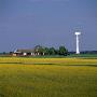 Wind Turbine In A Field by Ove Eriksson Limited Edition Pricing Art Print