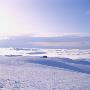 House On A Snow Covered Landscape by Torleif Svensson Limited Edition Print