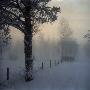 A Hut In Wintertime In Sweden by Mikael Andersson Limited Edition Print
