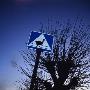 A Sign For A Crosswalk For Birds, Skane, Sweden by Hatte Stiwenius Limited Edition Print