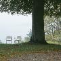 Two Deck Chairs Underneath A Big Tree by Helene Toresdotter Limited Edition Print