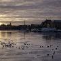 Small Birds On The Sea By Stockholm by Lars Dahlstrom Limited Edition Print