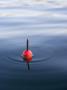 A Red Fishing Float In Water by Anders Ekholm Limited Edition Print