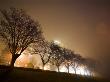 Trees At Night Lining Pacific St In Fog by David Elton Limited Edition Print