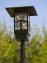 Garden Lamp by Josef Vital Limited Edition Print