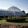 The Palm House (1844-8), Royal Botanic Gardens, Kew, London, Architect: Decimus Burton by Mark Fiennes Limited Edition Pricing Art Print