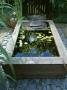 Raised Wooden Pond With Waterlilies And Slate Water Feature, Design By Geo Designs by Clive Nichols Limited Edition Print