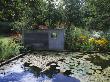 Concrete Sculpture Over Lily Pond, Designer: Duncan Heather, Greystone Cottage, Oxfordshire by Clive Nichols Limited Edition Print