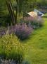 Lawn Planted- Nepeta Walkers Low, Sisyrinchium Striatum, Water Rill And Metal Sails, Clare Matthews by Clive Nichols Limited Edition Print