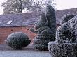 Parsonage, Worcestershire - Frosted Topiary, Rabbit Beside The Lawn, Winter by Clive Nichols Limited Edition Print