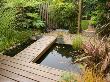 Pond In The Back Garden With Wooden Decking Walkway, Designer: Kathy Taylor by Clive Nichols Limited Edition Print