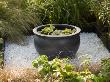 Granite Container Water Feature: Designers Beverley Knight And John Godwin by Clive Nichols Limited Edition Pricing Art Print